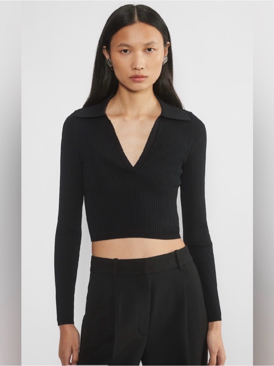 Aritzia Black Ribbed V-Neck Collared Crop Top